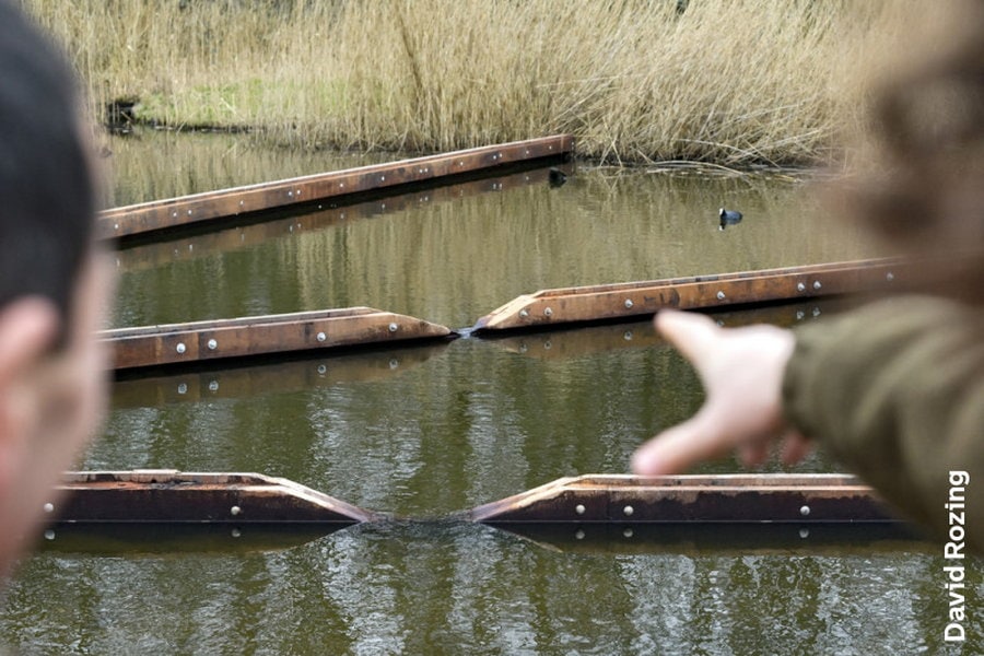 Met de batdetector op stap in het Kralingse Bos