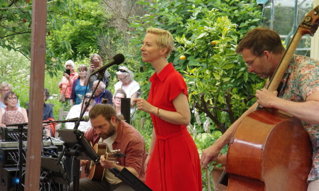 Muzikc concert met plaatselijke zangeres