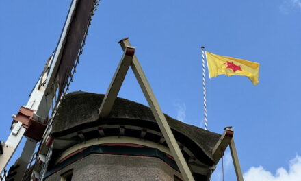 Wijkraad Kralingen: Weer aan de slag voor Kralingen