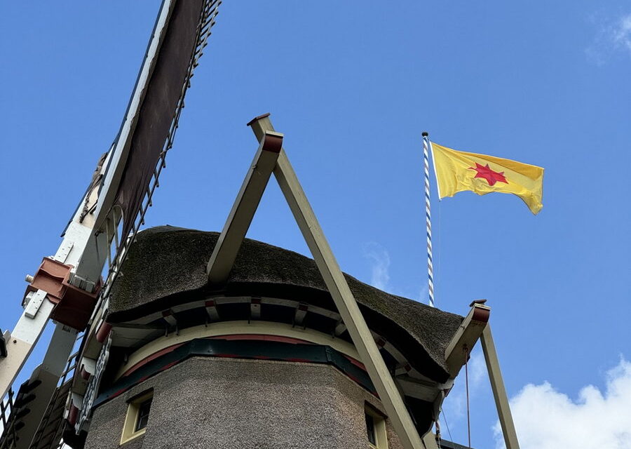 Wijkraad Kralingen: Weer aan de slag voor Kralingen
