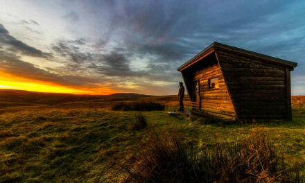Om deze redenen kiezen meer mensen in 2024 voor een tiny house
