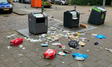 De boetes voor het dumpen van afval gaan mogelijk omhoog