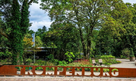 Feestelijke opening vernieuwde entree & bomenbos: woensdag 18 september a.s.