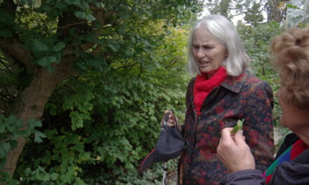 Een Tastbare wandeling voor blinden en slechtzienden