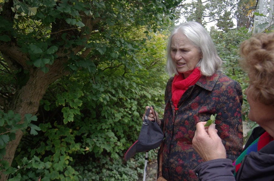 Een Tastbare wandeling voor blinden en slechtzienden