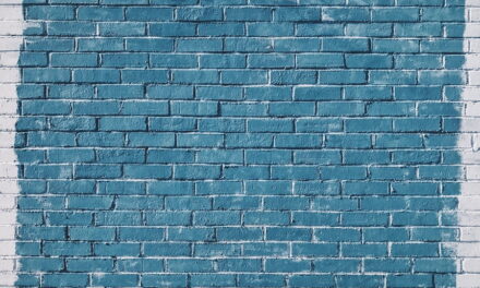 Schutting beitsen: Welke kleur kies je? 6 populaire kleuren voor je schutting!