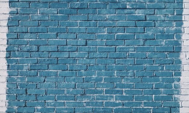 Schutting beitsen: Welke kleur kies je? 6 populaire kleuren voor je schutting!