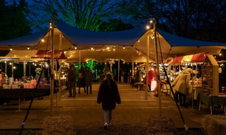 Treevember in Trompenburg 24 november