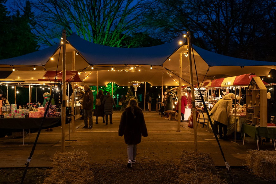 Treevember in Trompenburg 24 november