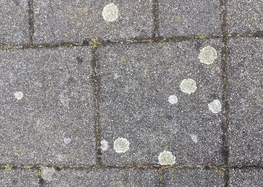 Vlekken op de stoep