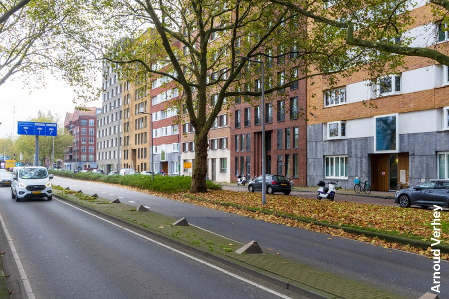 Spoedwerkzaamheden aan het riool nodig in Boezemlaan