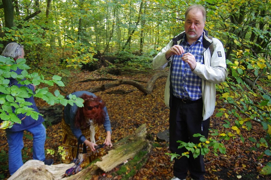 Paddenstoelen kijken in het Kralingse Bos