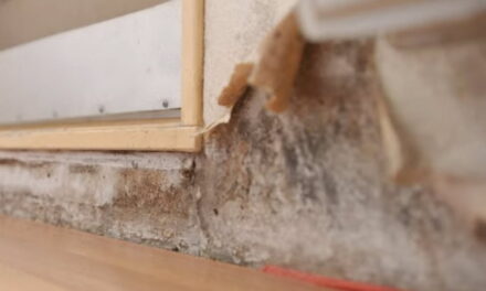 Crooswijker Lenie slaapt in kamer vol schimmel en is helemaal klaar met Havensteder