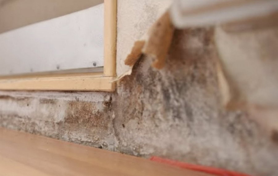 Crooswijker Lenie slaapt in kamer vol schimmel en is helemaal klaar met Havensteder