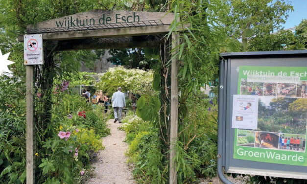Samen maken we Kralingen