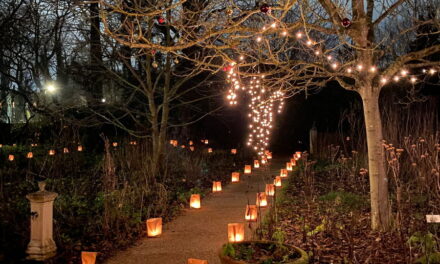 Lichtjesavond in de Botanische Tuin Kralingen