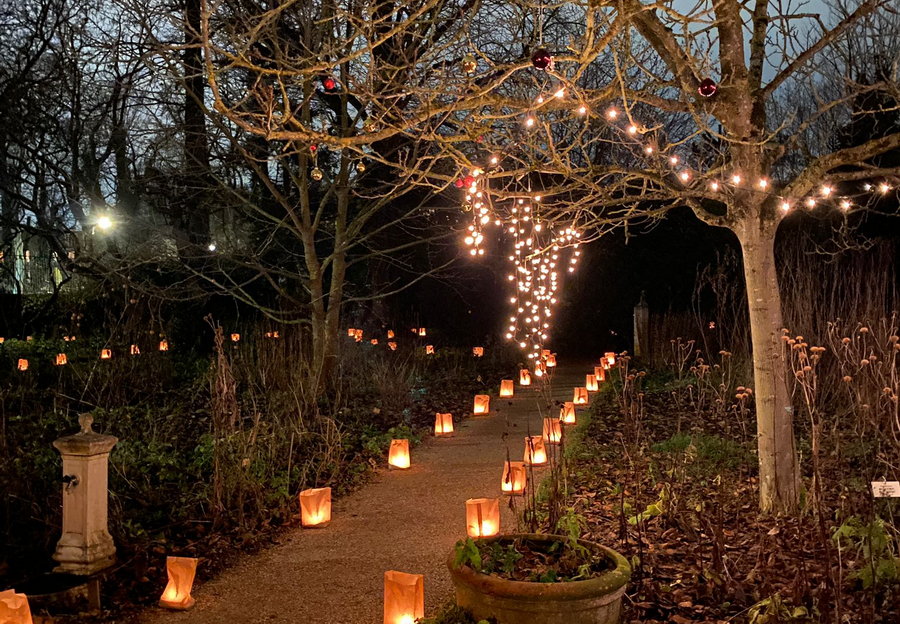 Lichtjesavond in de Botanische Tuin Kralingen