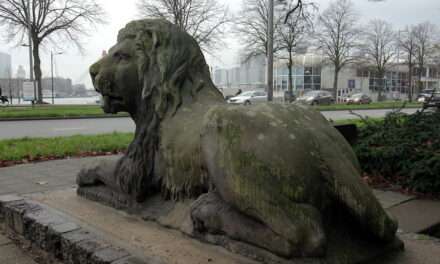 Hofpoortleeuwen naar Hofplein?