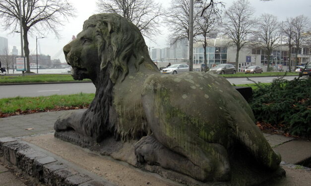 Hofpoortleeuwen naar Hofplein?