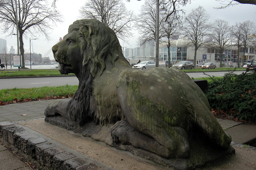 Hofpoortleeuwen naar Hofplein?