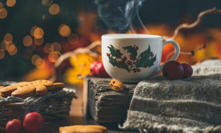 De Vrijwilligerswinkel wenst u hele fijne kerstdagen en een gezond en gelukkig 2025
