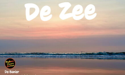 Dompel je onder in ‘De Zee’