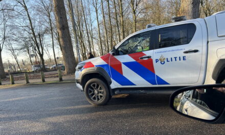Vrouw (33) overleden na ernstig ongeval op het Toepad