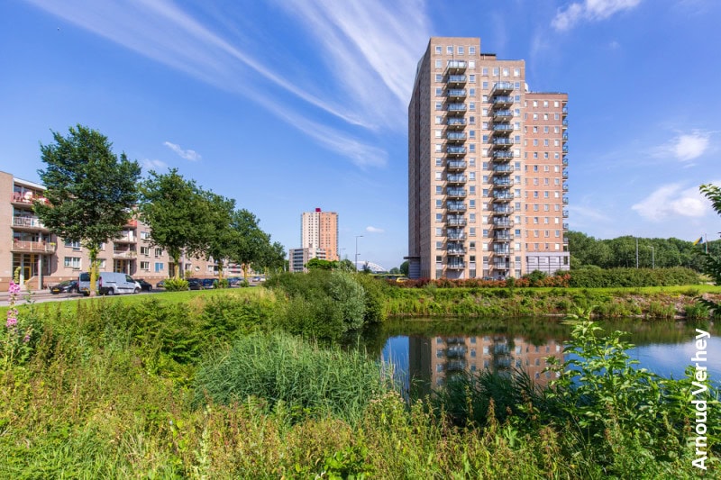 De Esch: meepraten over woningbouw
