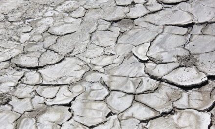 De opwarming van de aarde en de rol van groene energie