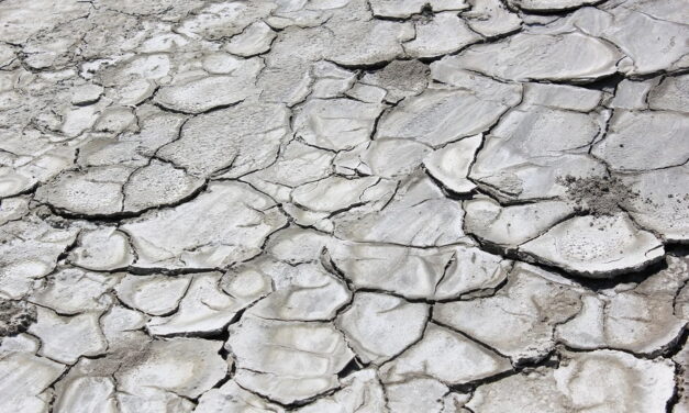 De opwarming van de aarde en de rol van groene energie