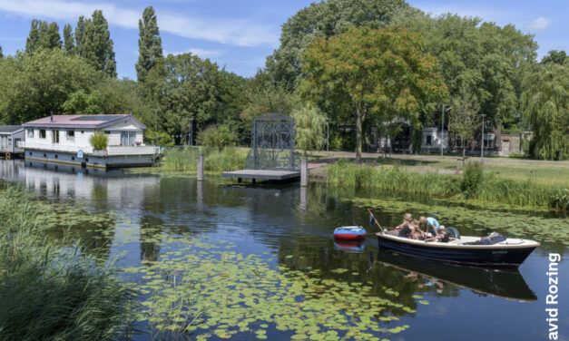 Wat zijn uw ideeën voor de Rotte?