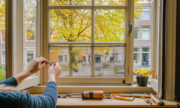 Raamhorren voor frisse lucht zonder insecten
