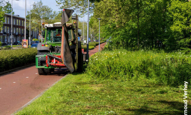 Proef met nieuw groenonderhoud