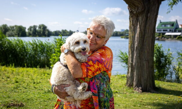 Geniet van de lente met een lieve oppashond!