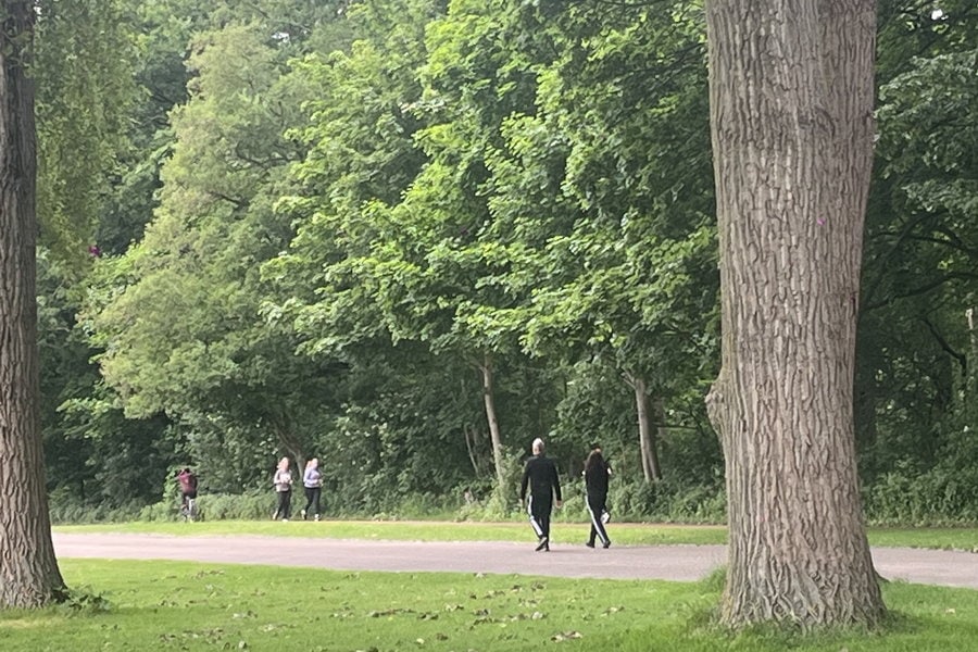 Stilstaan bij bomen