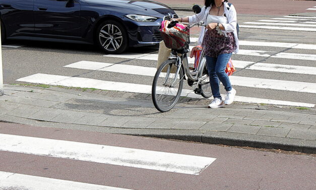 Zebra’s op het fietspad