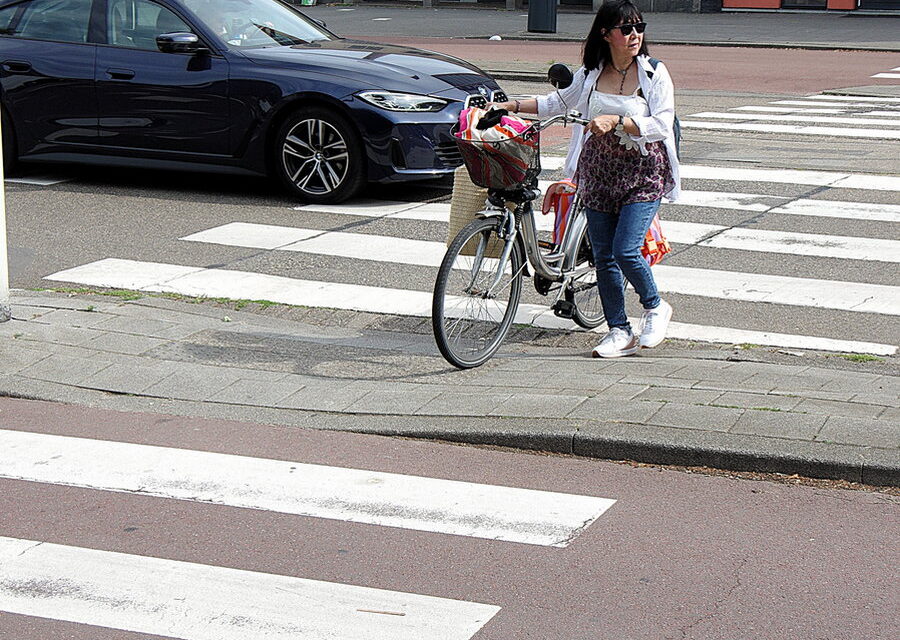 Zebra’s op het fietspad