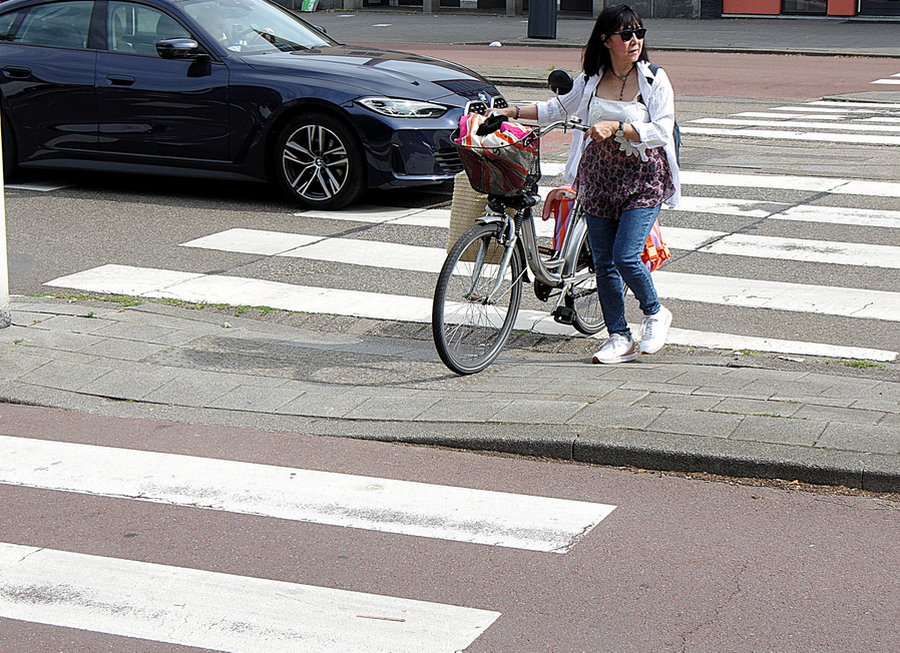 Zebra’s op het fietspad