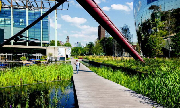 Wat doet het waterschap bij droogte in uw omgeving?