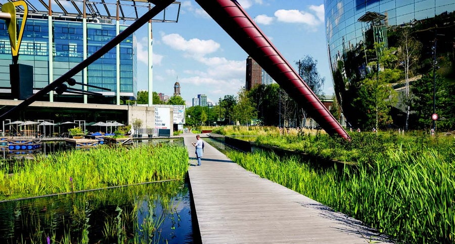 Wat doet het waterschap bij droogte in uw omgeving?