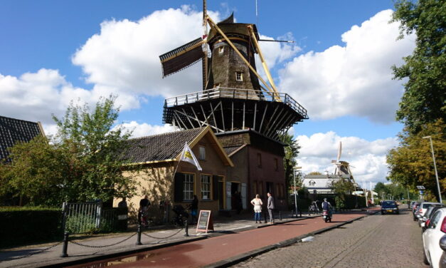 Een Ster in de Ster