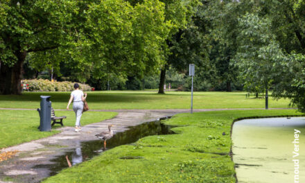 Wateroverlast te lijf in Park Rozenburg