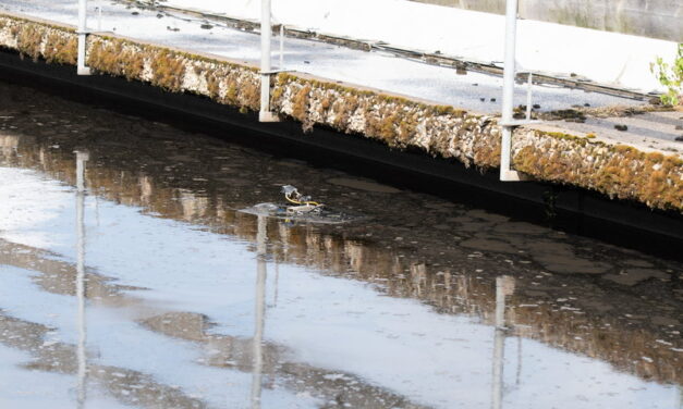 Testen met controles door onderwaterdrones