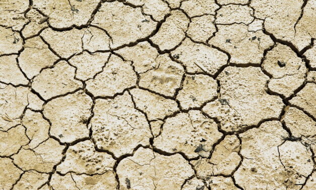 Dijkwachten de kade op bij aanhoudende droogte