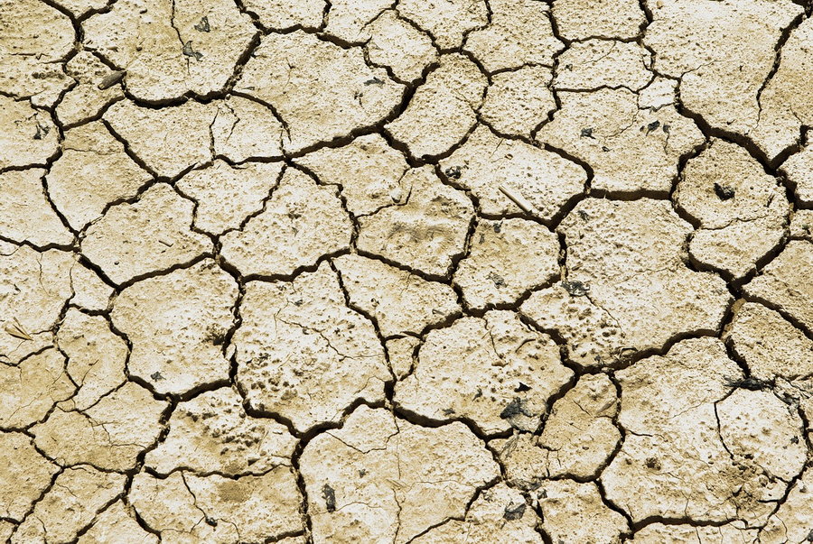 Dijkwachten de kade op bij aanhoudende droogte