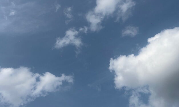 Margreet van Dam: in de wolken