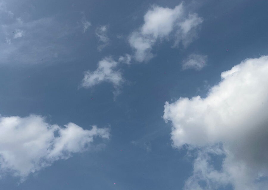 Margreet van Dam: in de wolken