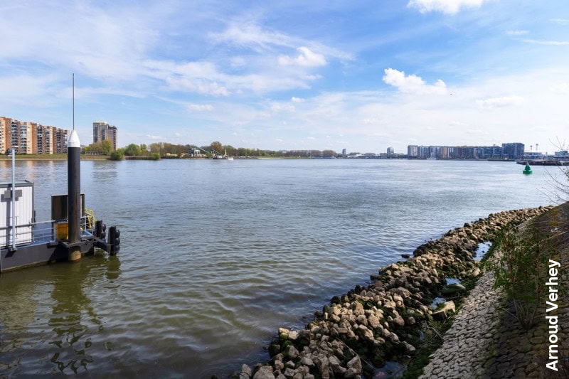 Informatiemarkten nieuwe stadsbrug